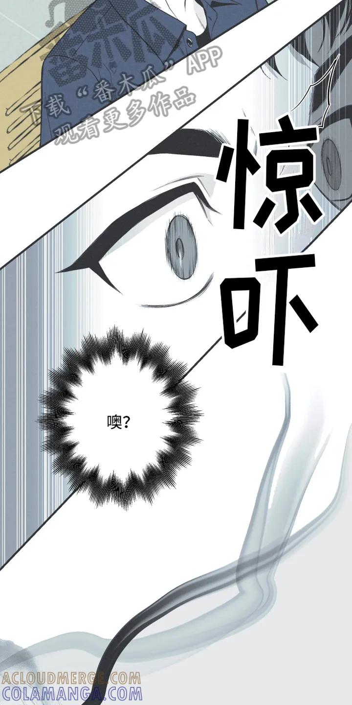 《蛇环凶危》第7章：明了 第7页