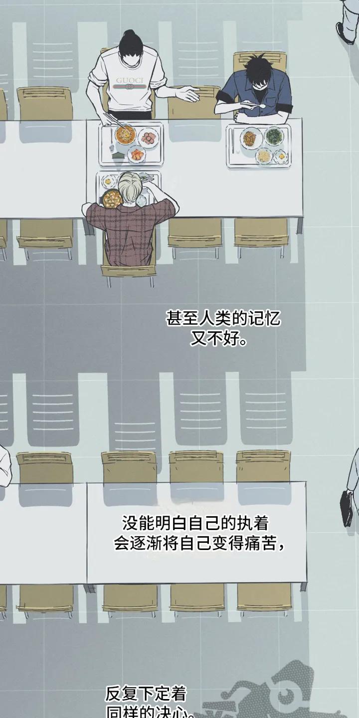 《蛇环凶危》第7章：明了 第2页