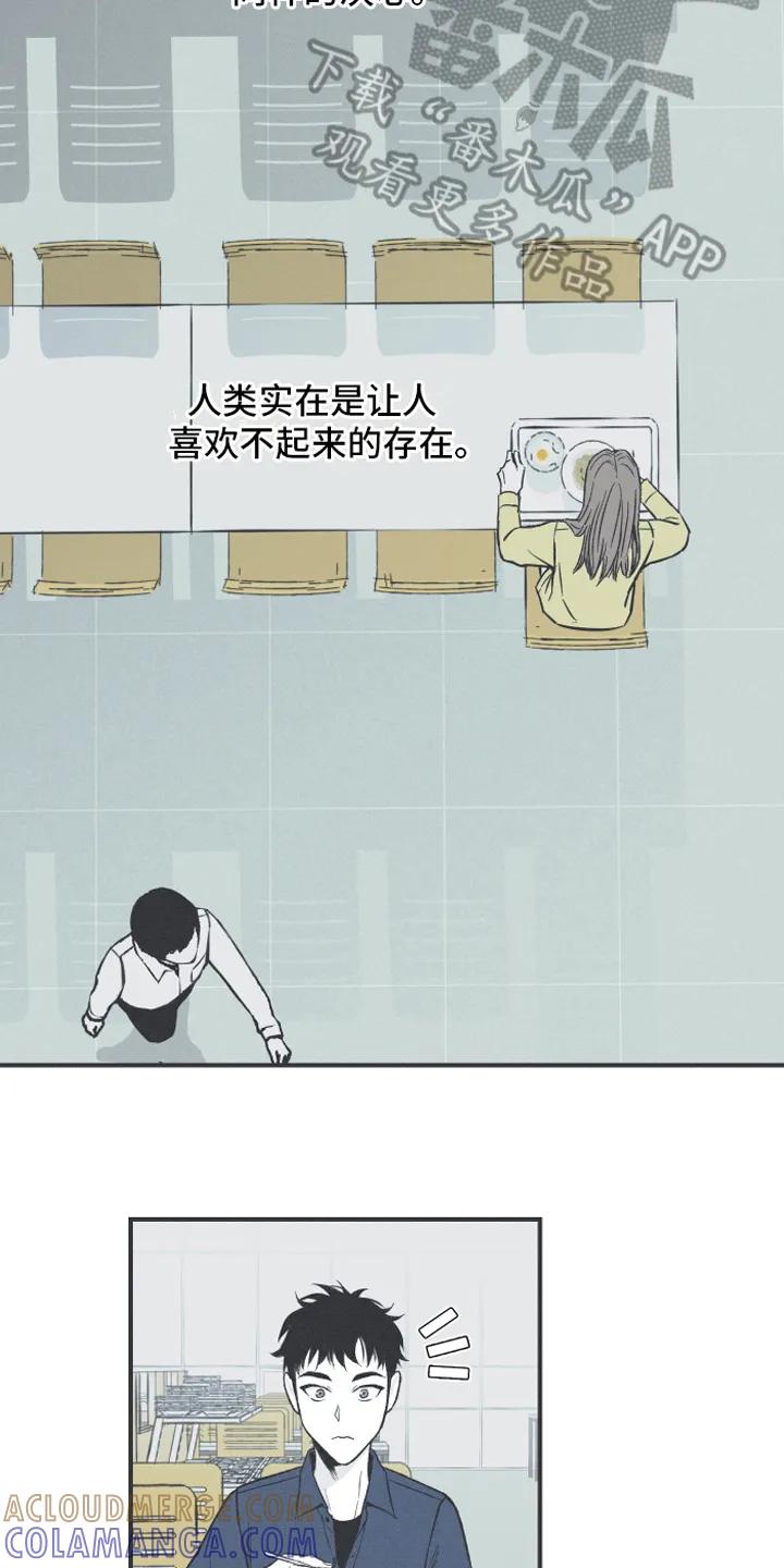 《蛇环凶危》第7章：明了 第3页