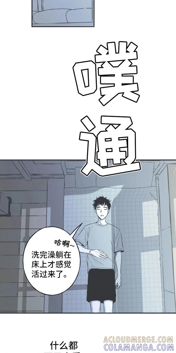 《蛇环凶危》第8章：入睡 第11页
