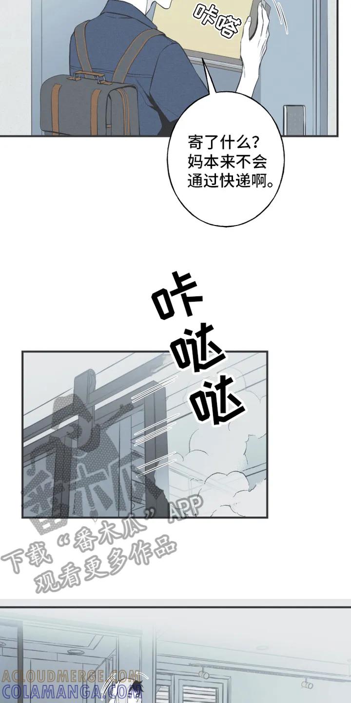 《蛇环凶危》第8章：入睡 第3页