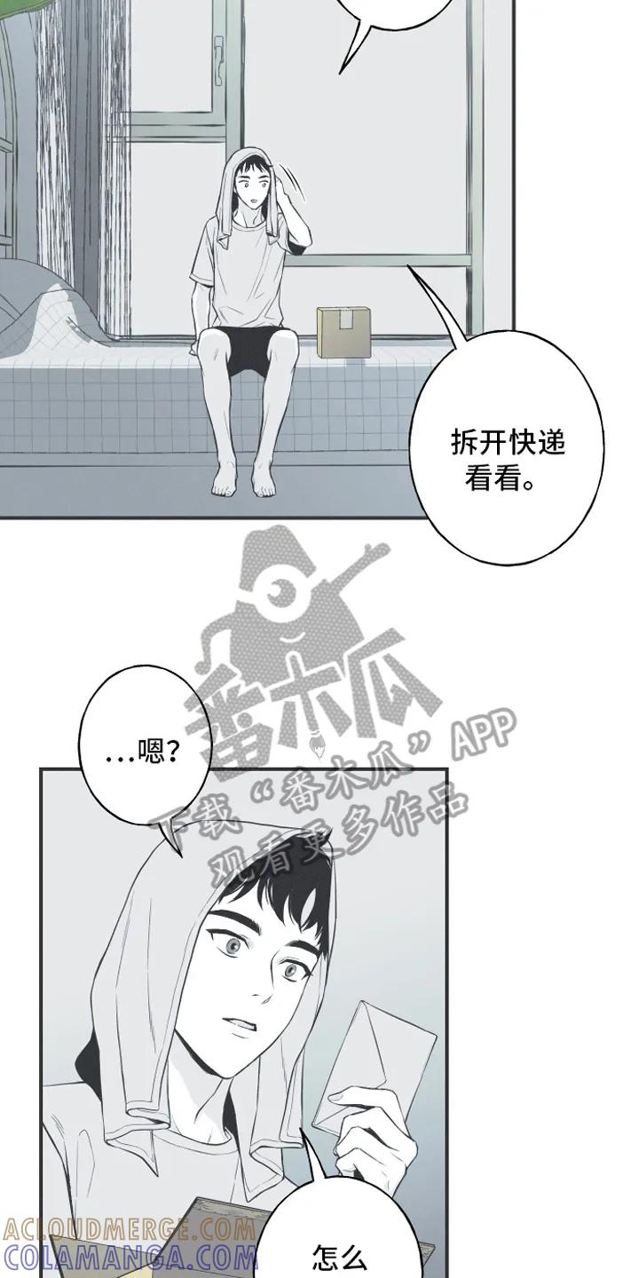《蛇环凶危》第8章：入睡 第5页