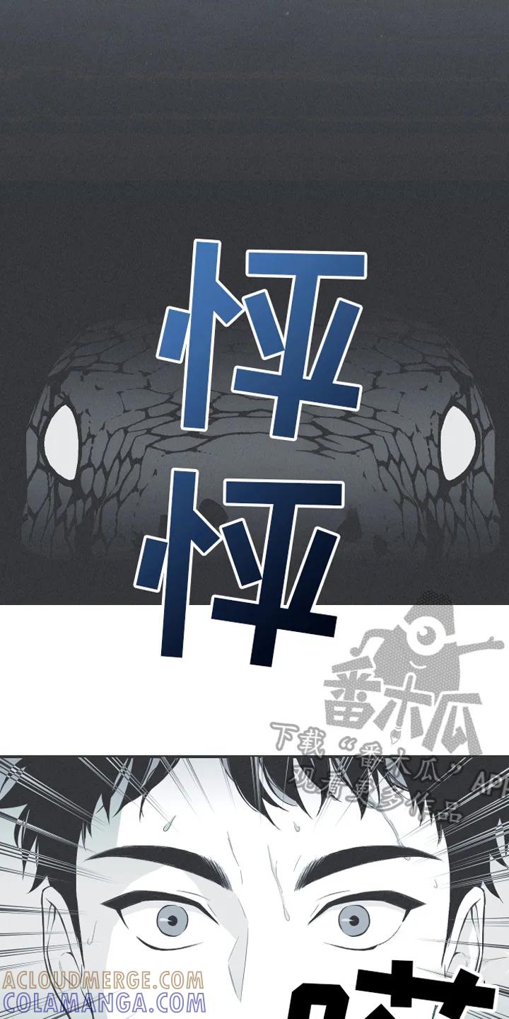 《蛇环凶危》第9章：惊梦 第19页