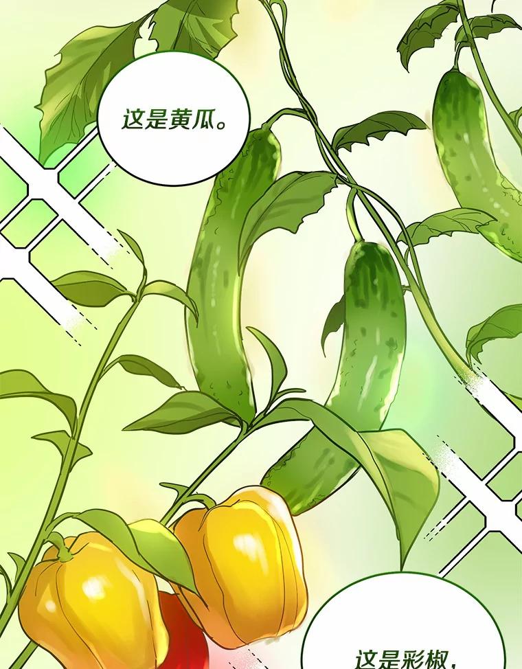 《舌尖上的魔法师》11.厌食的男主 第44页