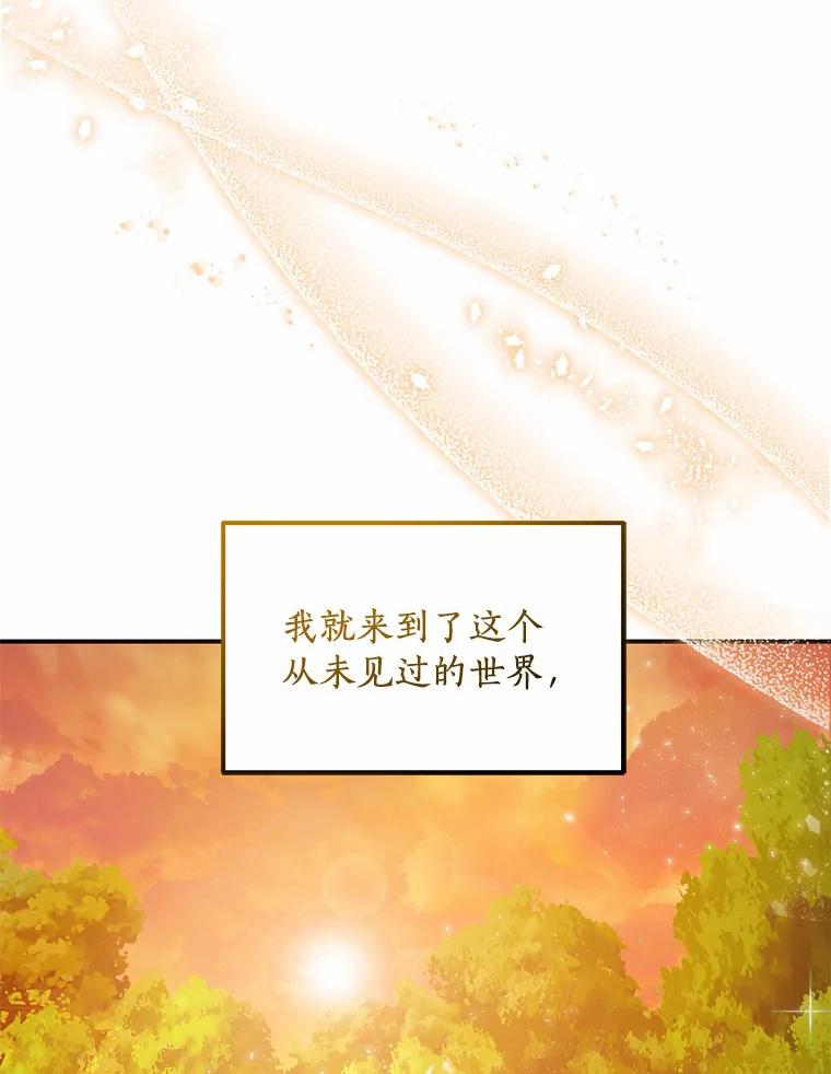 《舌尖上的魔法师》1.魔法世界 第83页