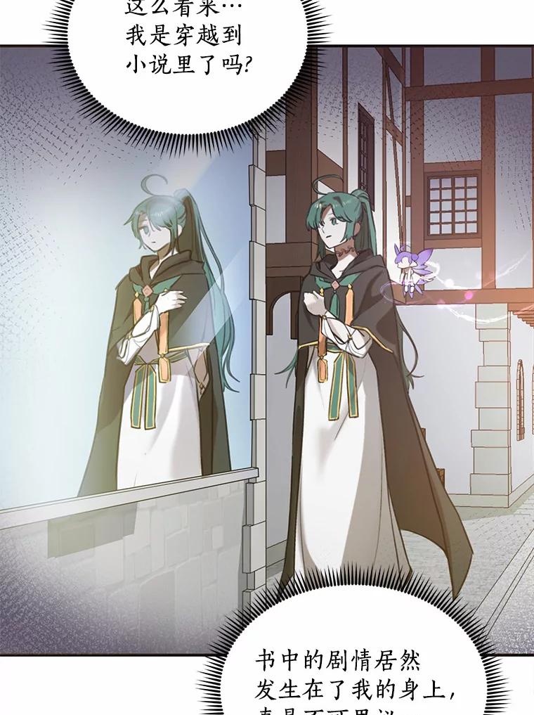 《舌尖上的魔法师》1.魔法世界 第95页