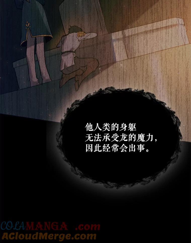 《舌尖上的魔法师》2.植物魔法师 第13页