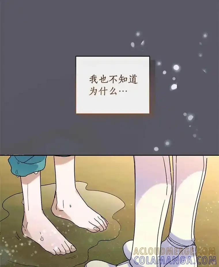 《舌尖上的魔法师》41.情绪失控 第105页