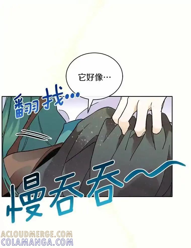 《舌尖上的魔法师》42.意外收获 第45页