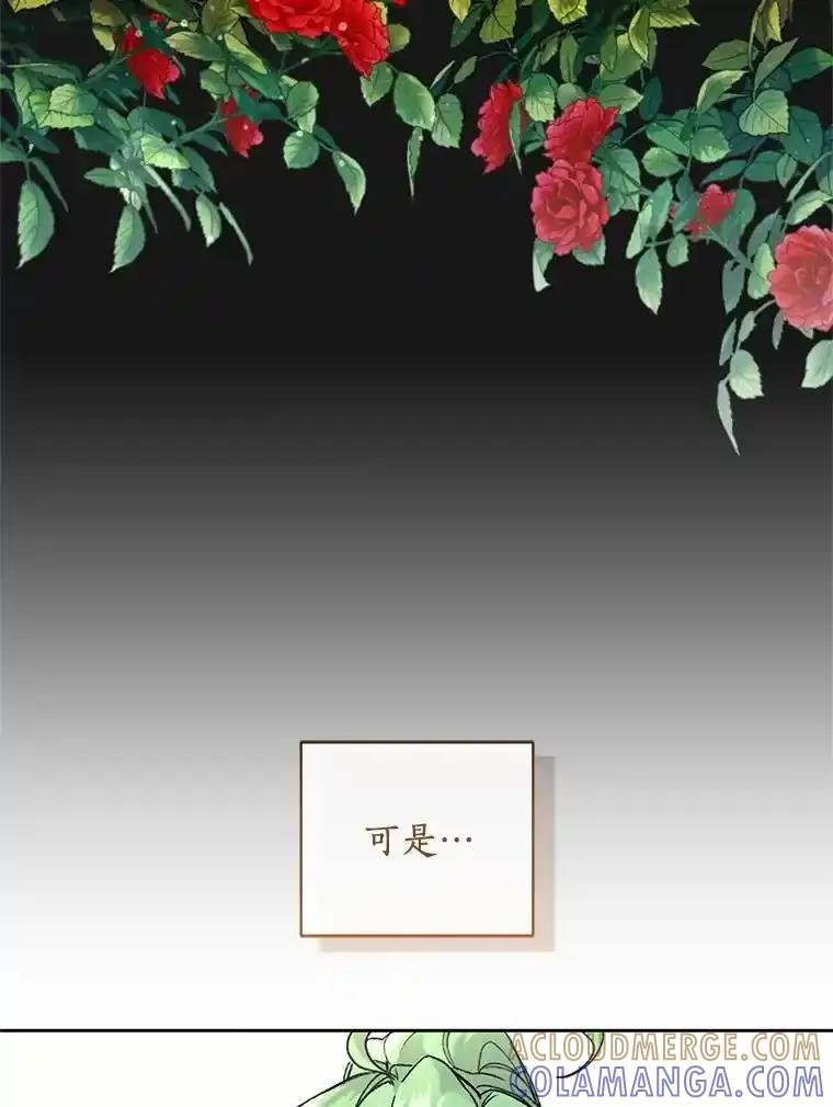 《舌尖上的魔法师》42.意外收获 第9页