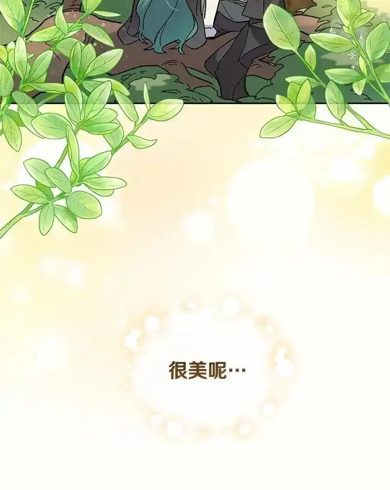 《舌尖上的魔法师》42.意外收获 第67页