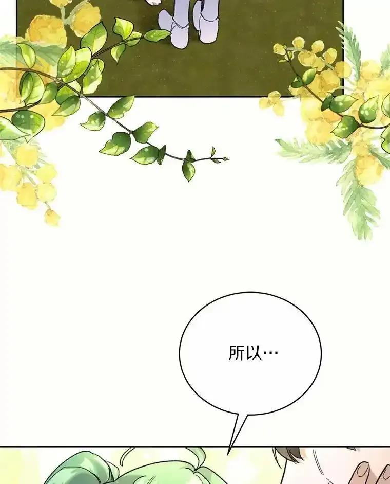 《舌尖上的魔法师》42.意外收获 第20页