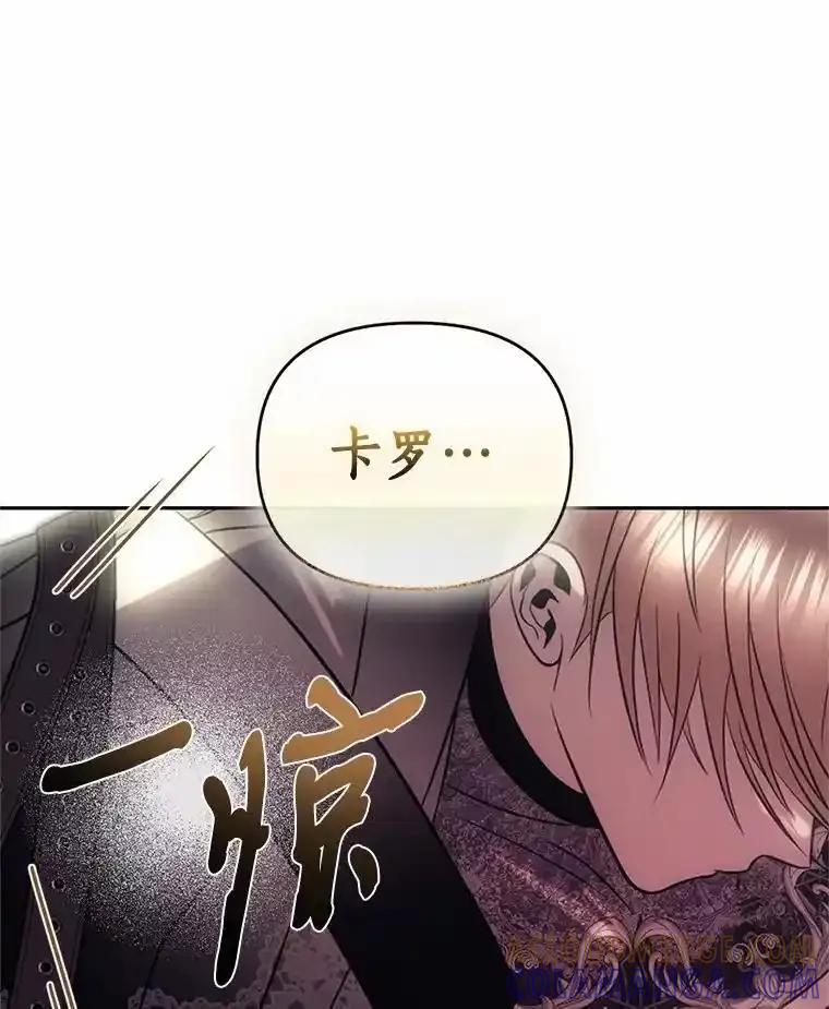 《与陛下同寝的生存法则》84.幸福（完） 第5页