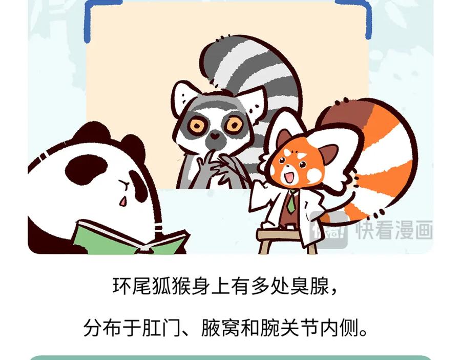 《胖达x胖达》第266话 第16页