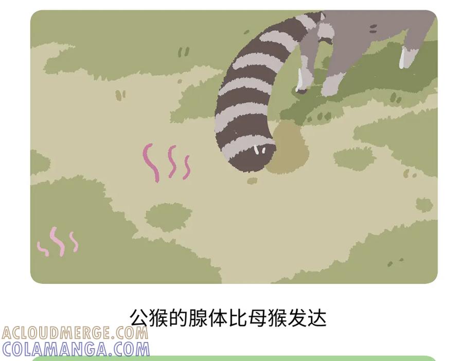 《胖达x胖达》第266话 第19页
