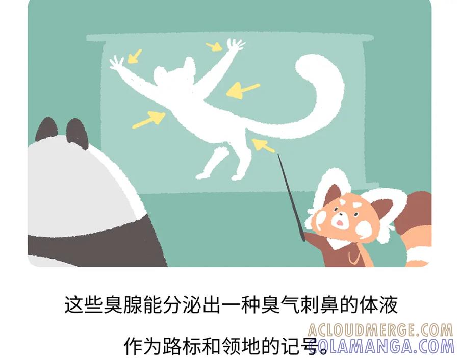 《胖达x胖达》第266话 第17页