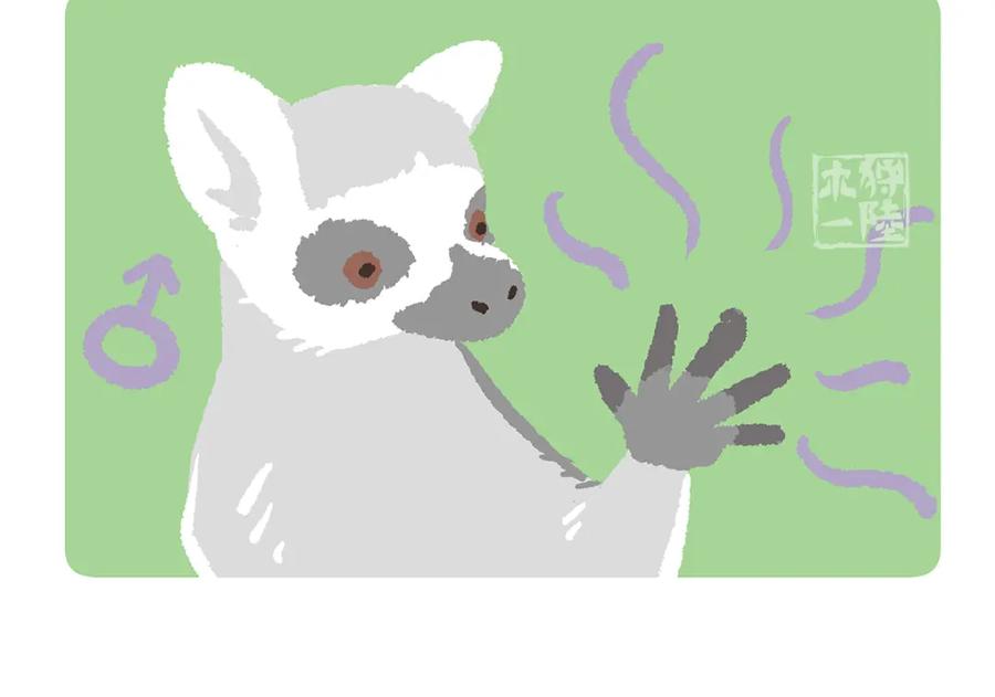 《胖达x胖达》第266话 第20页