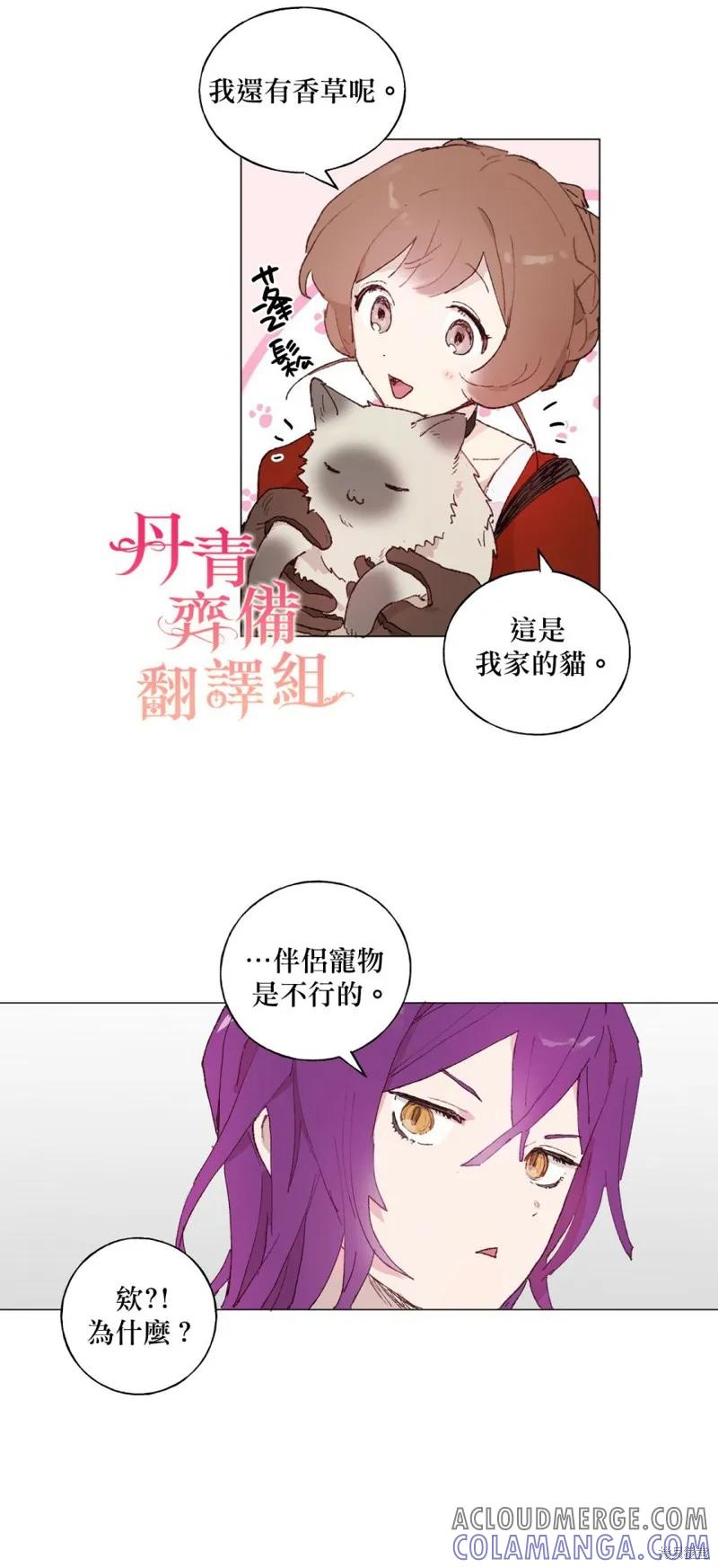 师父帮我挑了丈夫候选人 第14话 第11页