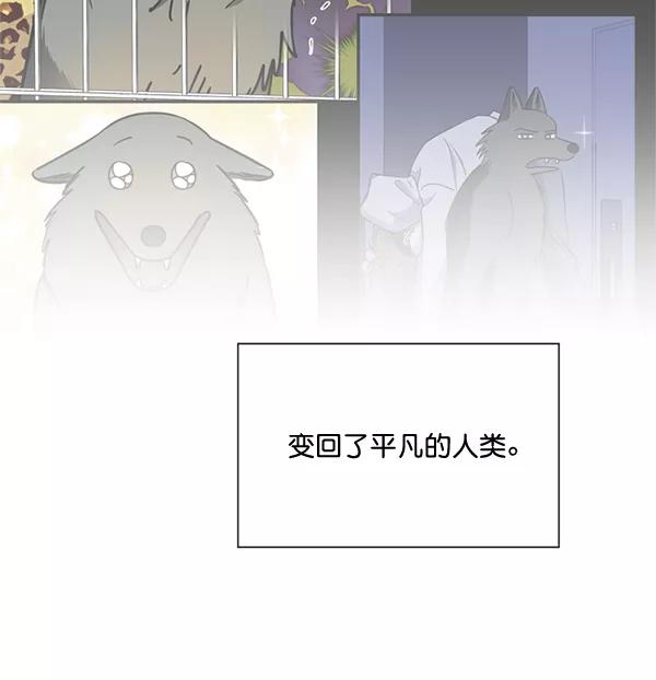 《狼与小红帽》第63话 最终话 第62页