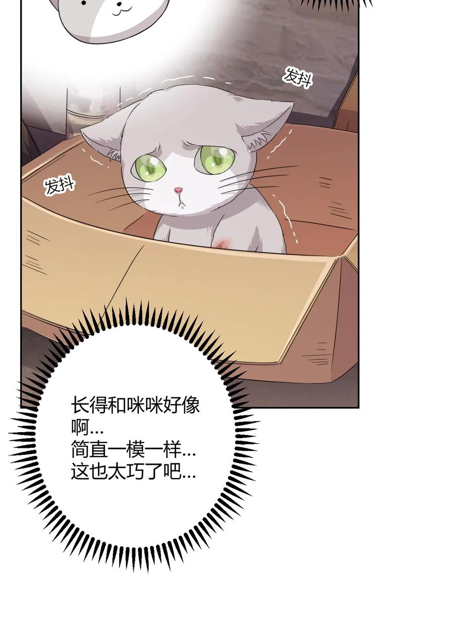 神赐予我这种尴尬的超能力究竟有什么用？ - 024 咪咪回来啦！ - 第21张图