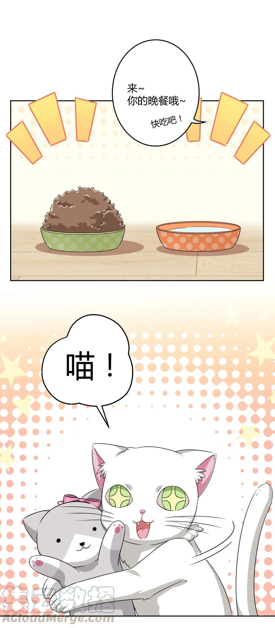 神赐予我这种尴尬的超能力究竟有什么用？ - 008 猫娘？喵娘？ - 第7张图