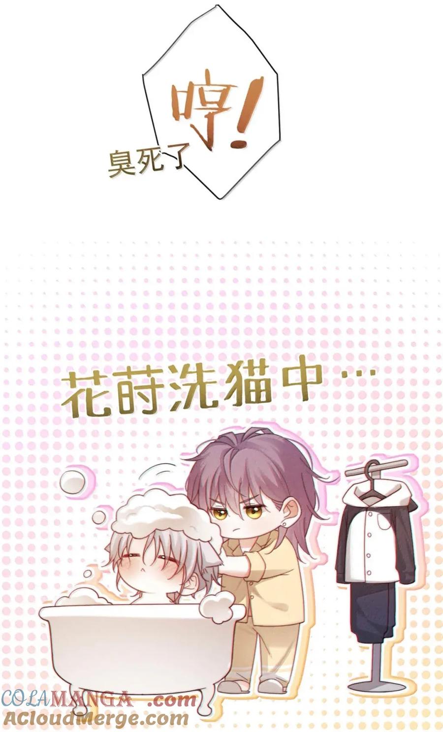 特浓信息素 015 你见过哪个不随便的人见面第三次就上床的？我。 第43页