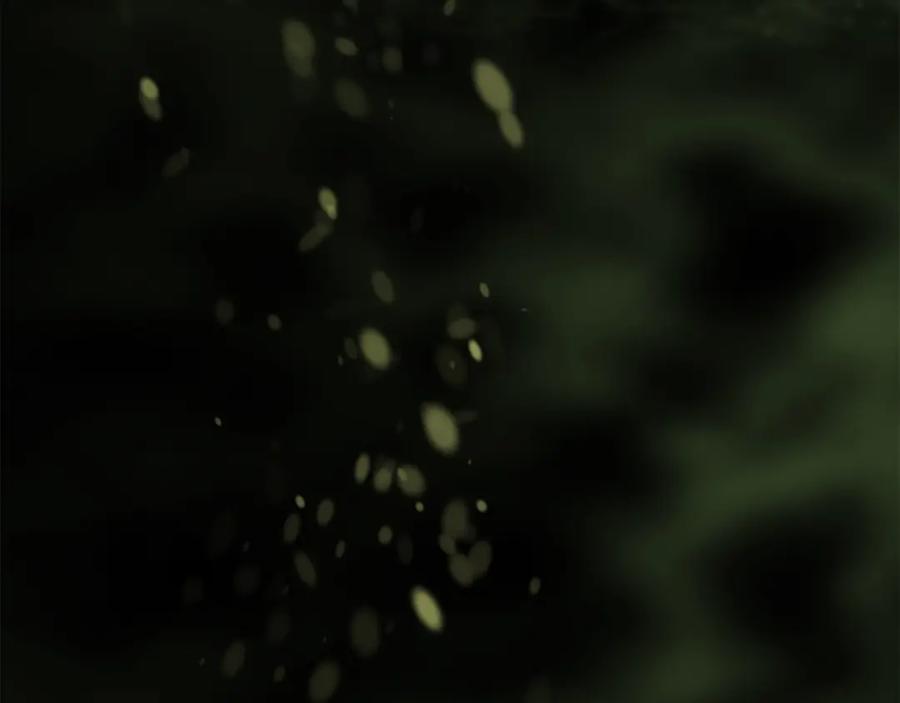 神的打工世界 第18话 疯狂三头犬 第246页