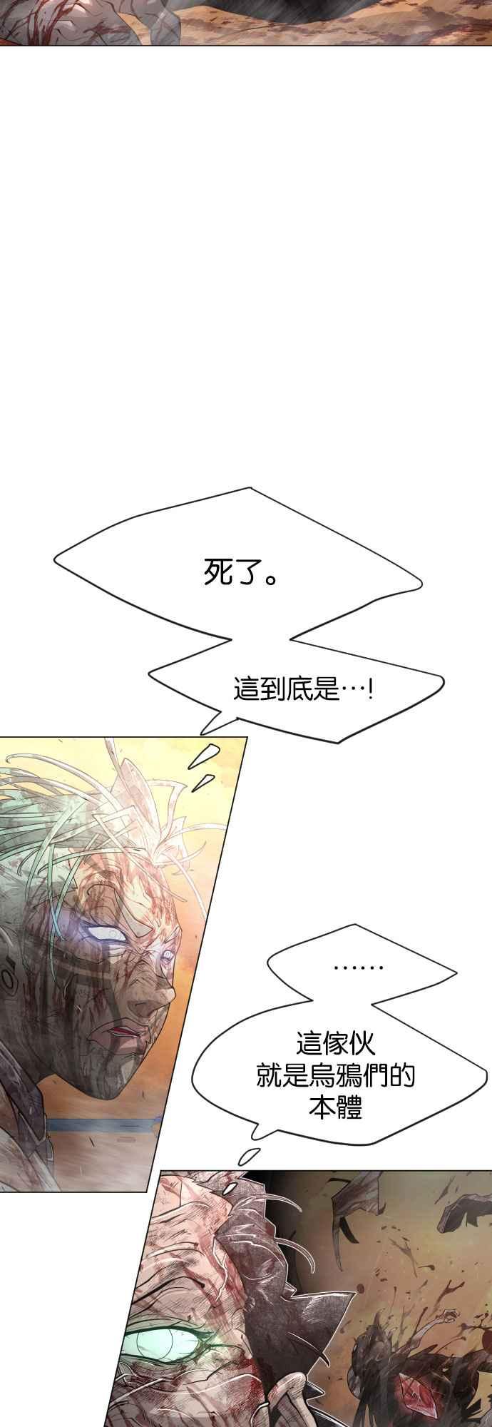 48.jpg