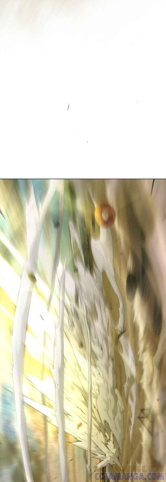 113.jpg