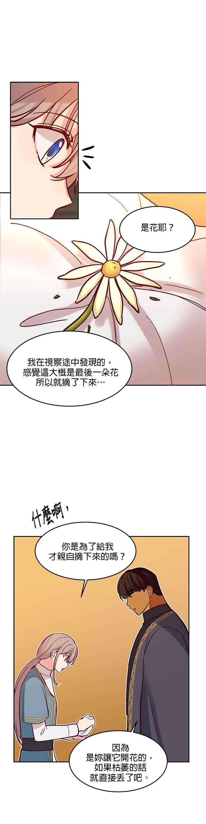《神灯精灵亚美娜》第17话 第12页