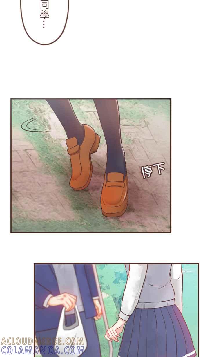 《胡桃钳的秘密》[第17话] 欢乐的午餐时间来了! 第19页