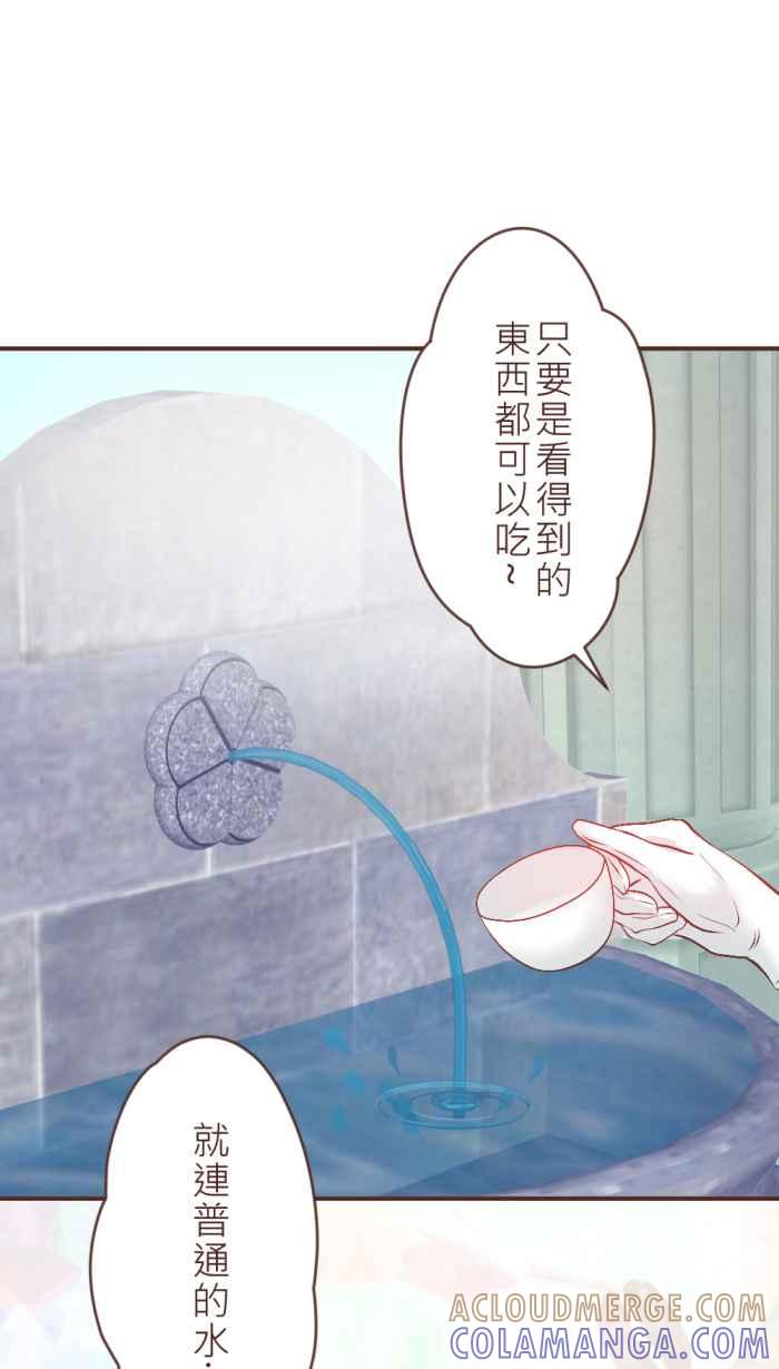 《胡桃钳的秘密》[第23话] 寻找克拉拉 第7页