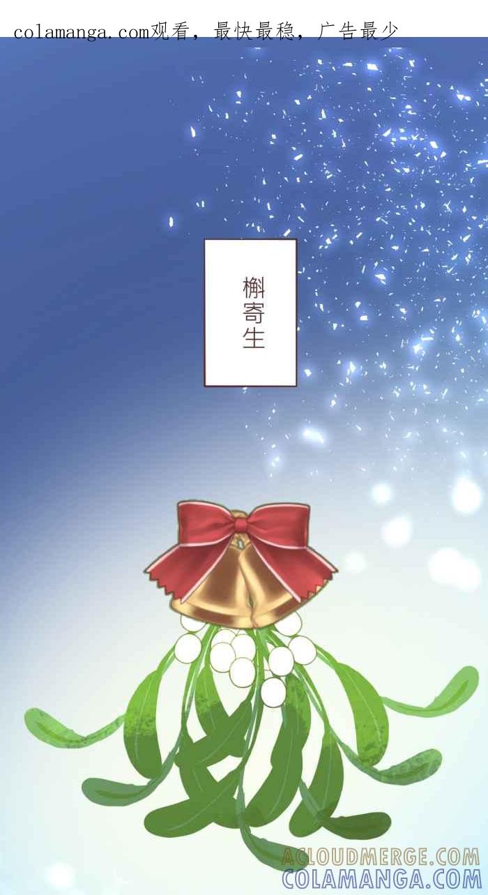 《胡桃钳的秘密》[第36话] 圣诞节特别篇 第1页