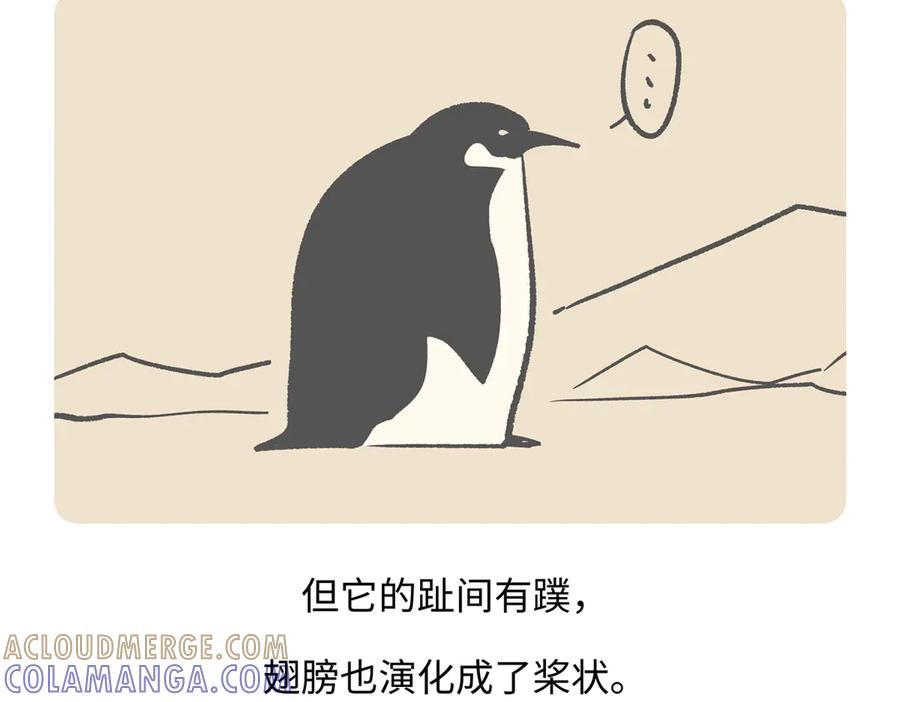《胖达x胖达》第272话 第21页