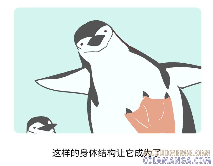 《胖达x胖达》第272话 第23页