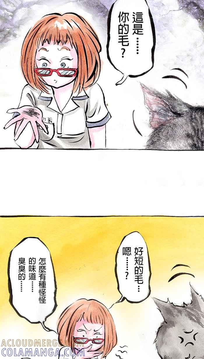 猫剑客 [第10话] 浑沌!! 第3页