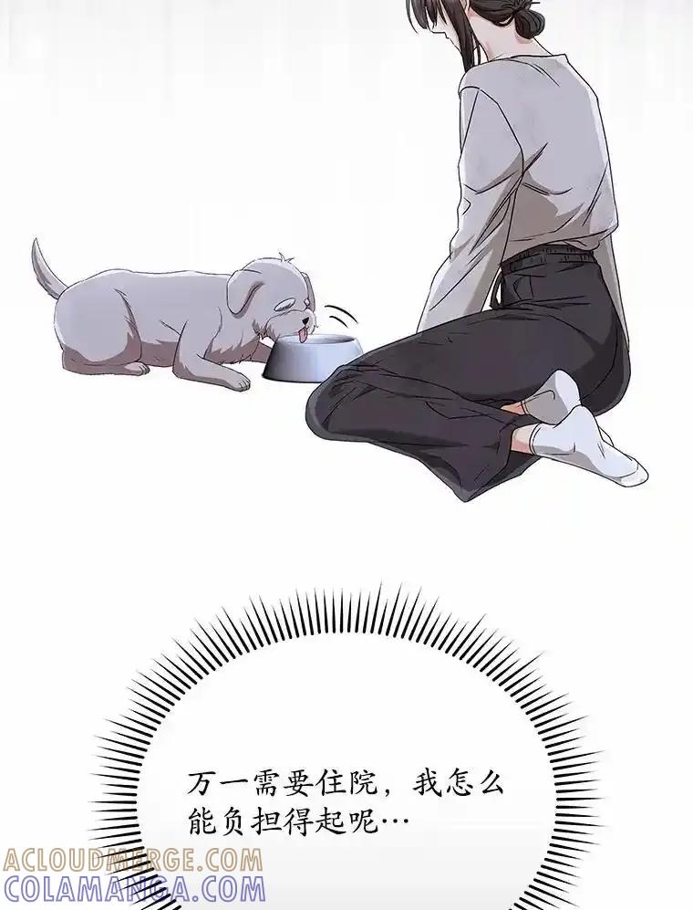 《你好？兽医先生！》66.心软的神（1） 第105页