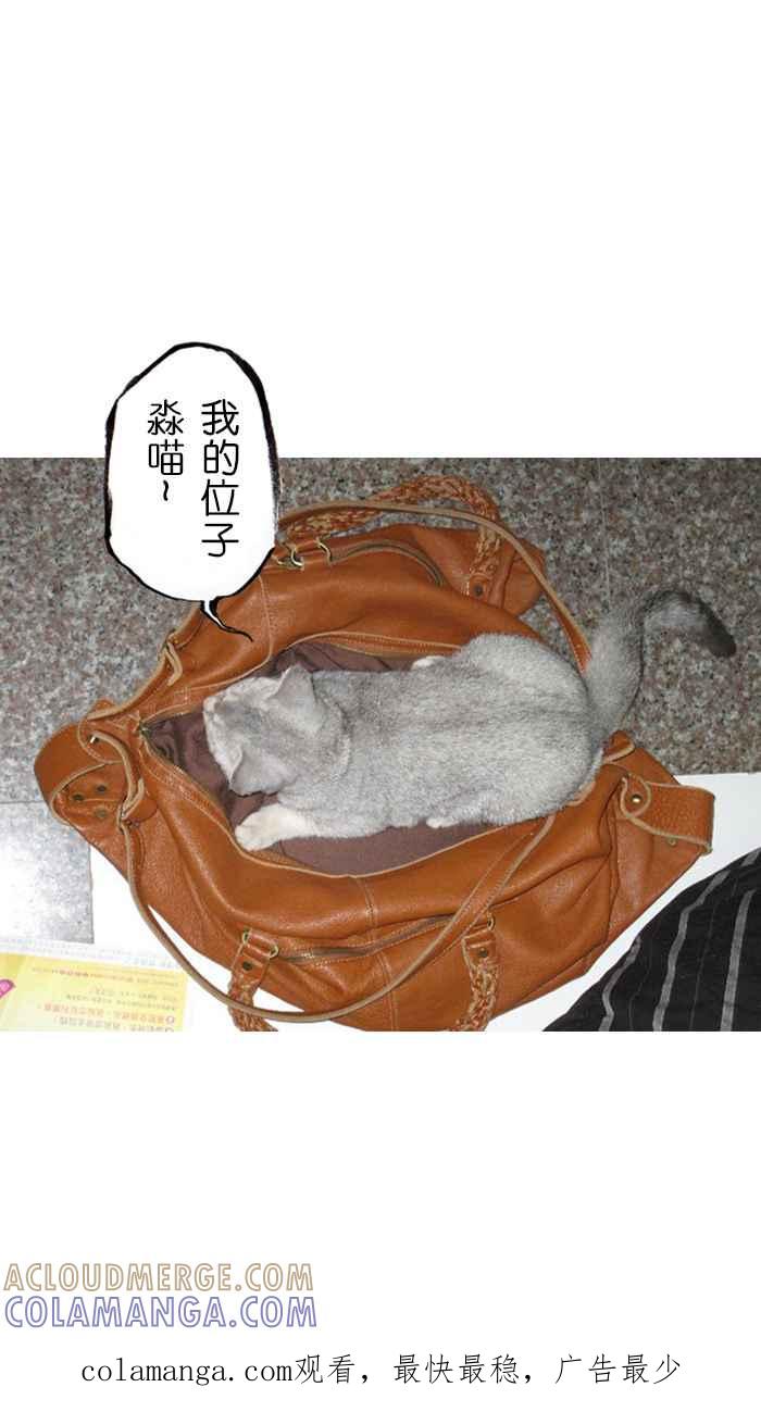 猫剑客 [第84话] 折翼天使 贰拾柒，父与子 第41页