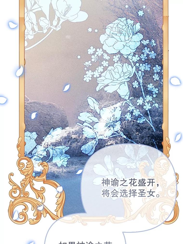 《圣女大人已黑化》10.情报公会 第68页