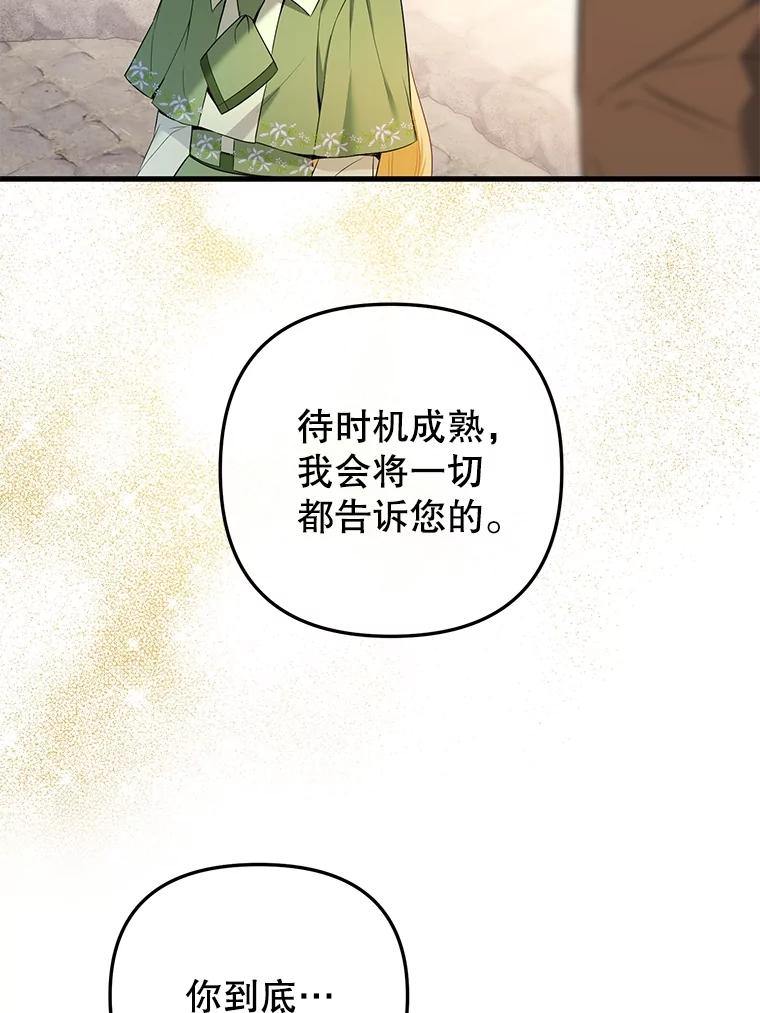 《圣女大人已黑化》10.情报公会 第98页