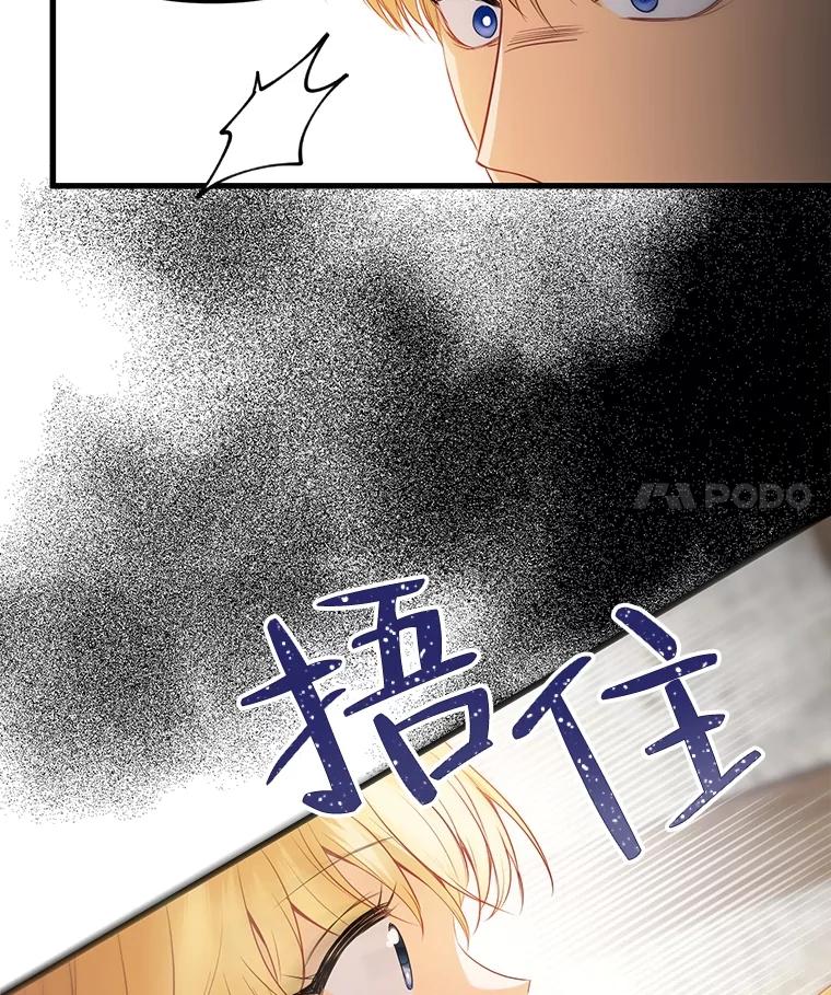 《圣女大人已黑化》10.情报公会 第102页