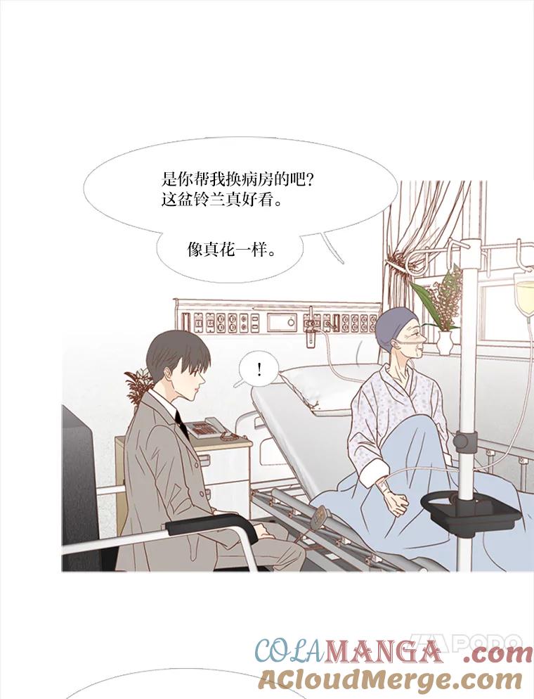 《远看是蔚蓝的春天》158.还活着吗？ 第31页