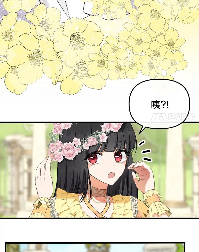 《圣女大人已黑化》1.新的圣女 第83页