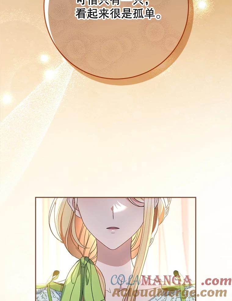 《这次要好好养妹妹》31.最好的礼物 第33页