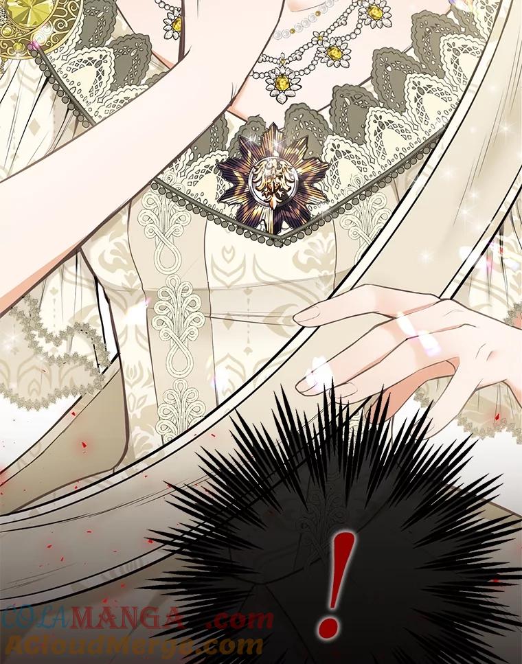 《圣女大人已黑化》3.处死 第101页