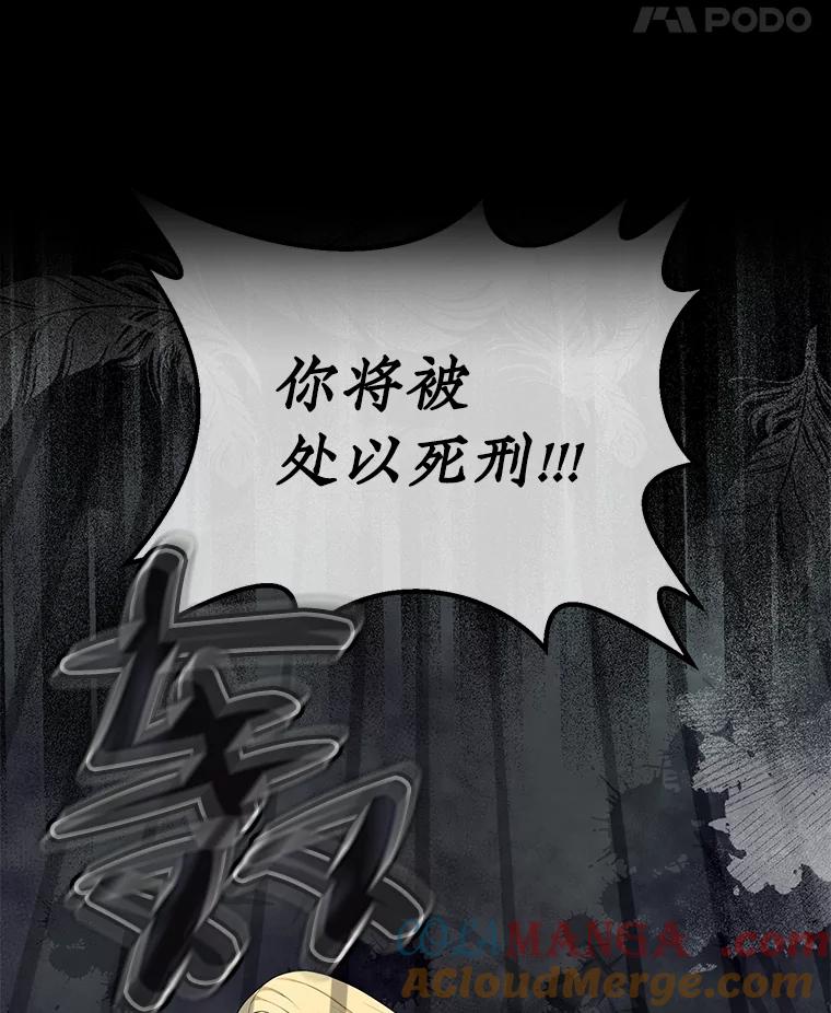 《圣女大人已黑化》3.处死 第141页