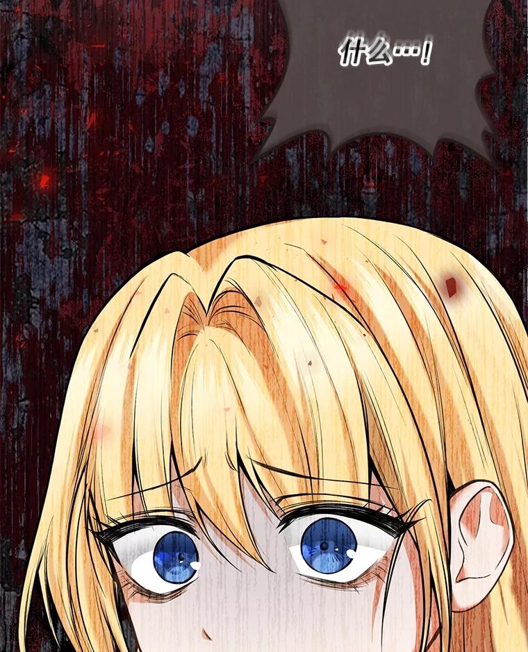 《圣女大人已黑化》3.处死 第135页
