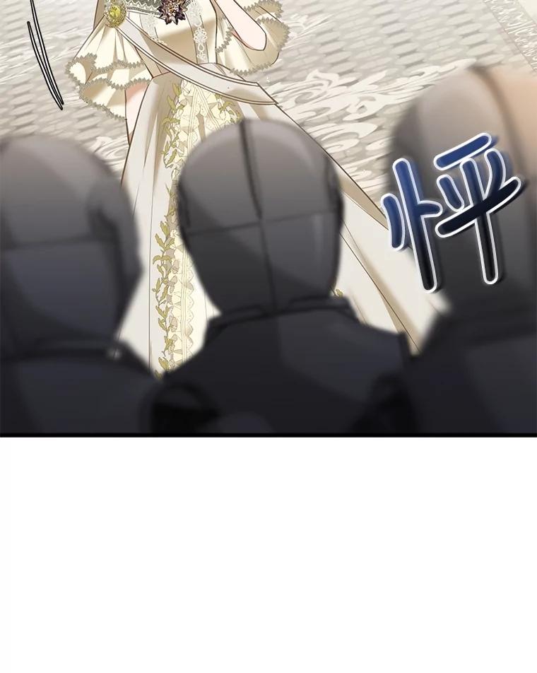 《圣女大人已黑化》3.处死 第96页