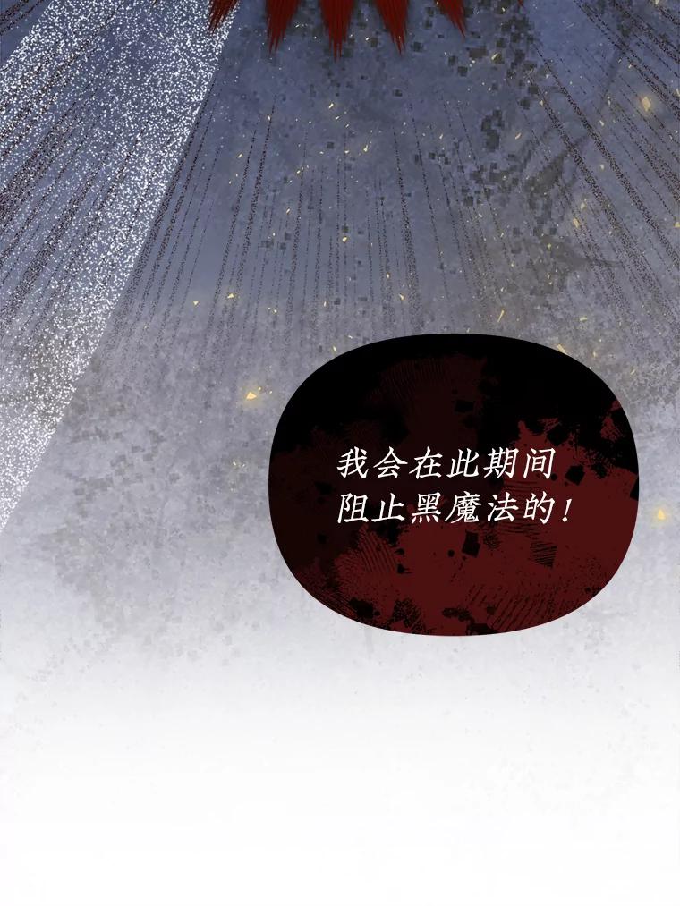 《圣女大人已黑化》3.处死 第116页