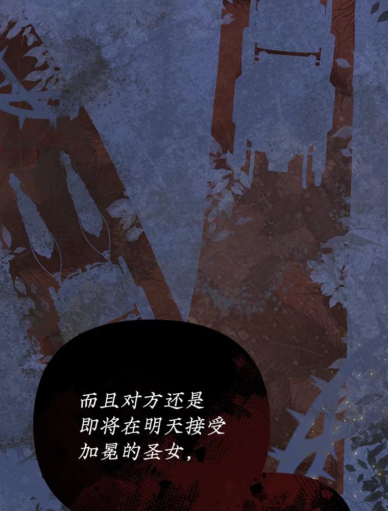 《圣女大人已黑化》3.处死 第111页